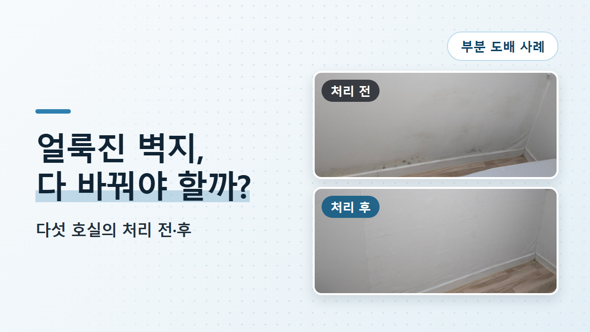 벽지 얼룩 부분 도배, 오염된 곳만 새로 바른 동거동락 사례