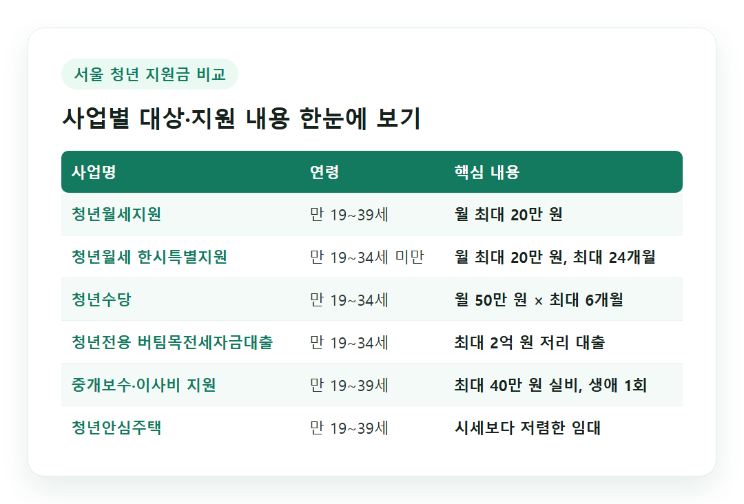 서울 청년 지원금 종류 한눈에 보는 비교 표