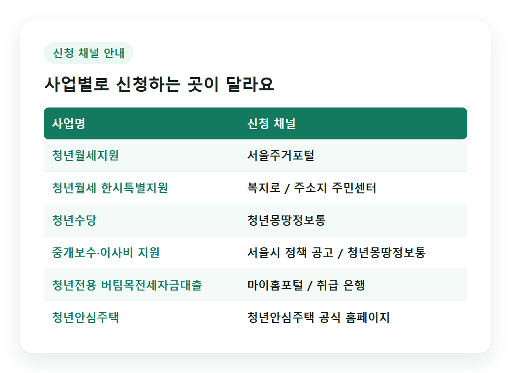 서울 청년 지원금 사업별 신청 채널 안내