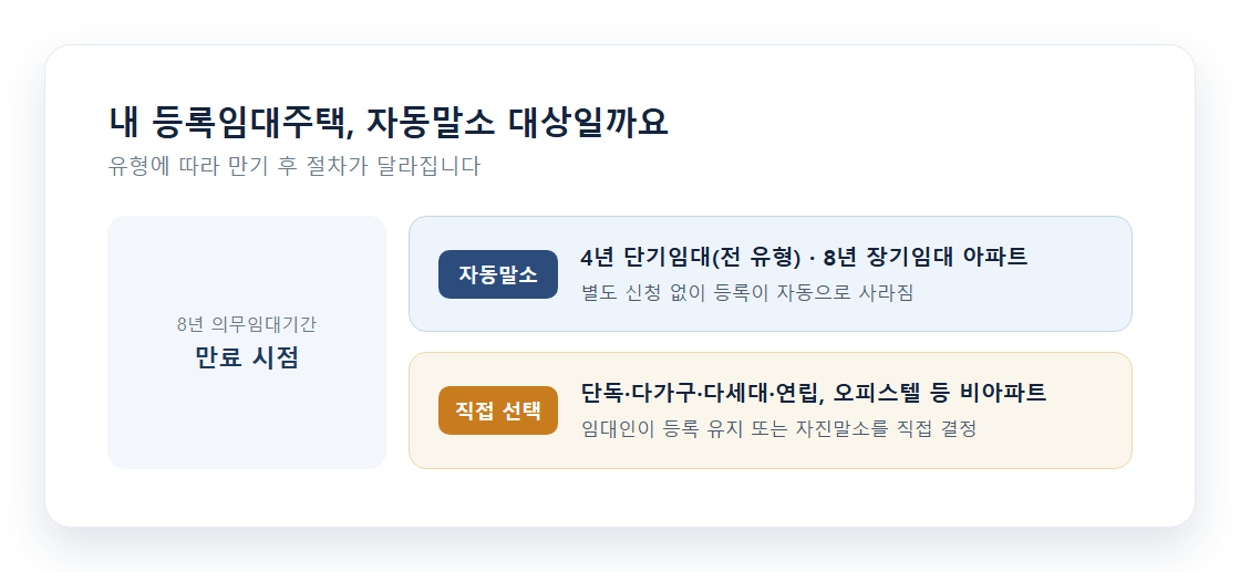 자동말소 대상과 비대상을 구분하는 체크 흐름표
